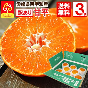 �Õ� �݂��� �󂠂� 3kg ���Q ���� �~�J�� �݂��� �O���� ������ �Y�n���� ���Q�� �Y�n���� ���k�� �t���[�c �M�t�g �Y�� ���Q�Y ���Q���Y �ʎ� �H�i �����񂹃O���� ���񂫂� �ʓ� �ʏ` 