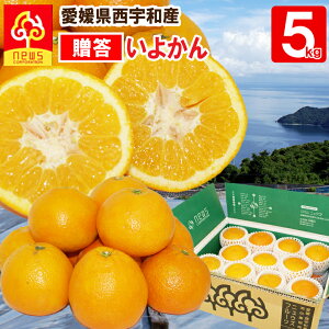 悩 p 5kg Q  ~J ݂ O  Yn Q Yn k t[c Mtg Y QY QY ʎ Hi 񂹃O 񂫂 ʓ ʏ` 