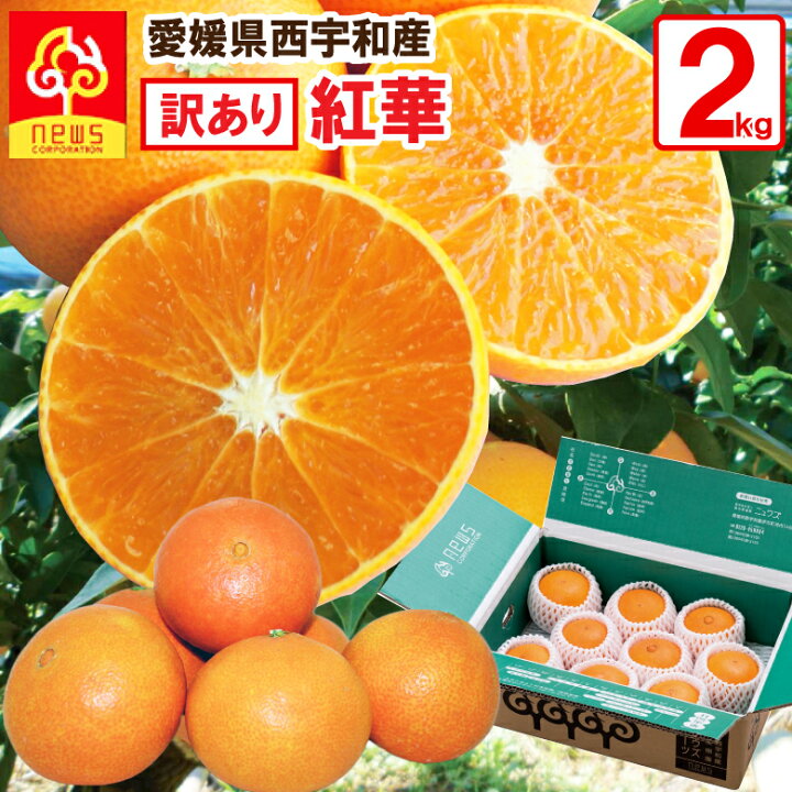 楽天市場】【※12月上旬発送】【訳あり】愛媛 みかん 紅華 べにか 混合サイズ 2kg (「紅まどんな」商標登録のため紅華として販売)はバラ詰 高級 希少 贈答用 えひめみかん 農家直送 みかん専門店 南の果樹園 ニュウズ 西宇和 べにまどんな 紅マドンナ : みかん専門店 南 ... 楽天市場】【※12月上旬発送】【訳あり】愛媛 みかん 紅華 べにか 混合サイズ 2kg (「紅まどんな」商標登録のため紅華として販売)はバラ詰 高級 希少 贈答用 えひめみかん 農家直送 みかん専門店 南の果樹園 ニュウズ 西宇和 べにまどんな 紅マドンナ : みかん専門店 南 ...