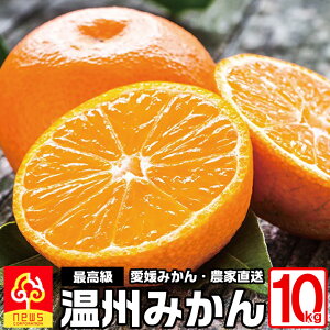 QY ̉B݂s10kg/M or L/70~110/olt݂ ~J mikan Q ݂ Â݂ ݂ ݂ x Q݂ Yn k ʕ  t[c ƒp B 