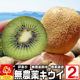 楽天市場 オーガニック キウイフルーツ フルーツ 果物 食品の通販