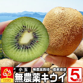 【小玉】愛媛産 キウイ フルーツ 5kg　　 混合サイズ オーガニック 無農薬栽培 ヘイワード自家生産 みかん専門店 南の果樹園 ニュウズ 西宇和 キュウイ キウイフルーツ 果実 くだもの ジャム