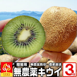 QY LEC t[c 3kg I[KjbN _͔| wC[hƐY ݂X ̉ʎ jEY Fa LEC LECt[c ʎ  W