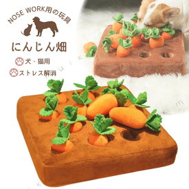 ペット用品 ノーズワークマット 知育玩具 犬 猫 おもちゃ 知育おもちゃ おもちゃ棚 玩具 おもちゃ箱 嗅覚トレーニング ストレス発散 室内遊び 食べ物隠し 集中力向上 小型犬 中型犬 猫用 洗える プレゼント ギフト 耐