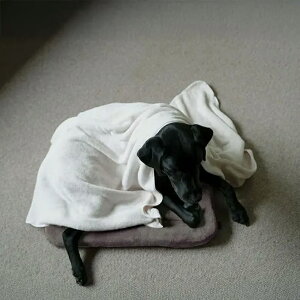 yӂ炩^I z -we original-zoX^I 炩 ӂӂ  }CNt@Co[ W[ C  ^IPbg uPbg V[ v[ o Jo[