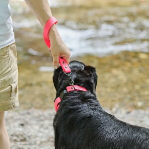 yBEYOND LINE -weoriginal-z h C V R V ȒP p  ȒP  v BioThane rI^ xeXg ϐ Ό ^ ^ ^ Vv