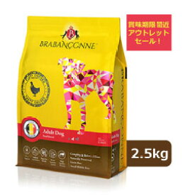 【アウトレットセール】 賞味期限間近：2026年6月15日 ブラバンソンヌ 小型犬 中型犬 成犬用 グレインフリー ドッグフード チキン 2.5kg 小粒 ドライ 消化器ケア 尿路ケア 腎臓ケア 無添加 グルテンフリー 訳あり