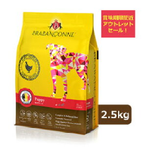 yAEgbgZ[z ܖԋ߁F2025N122 uo\k ^  qp hbOt[h `L 2.5kg  hC PA AHPA tPA Y Oet[ 󂠂