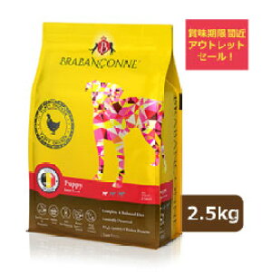 yAEgbgZ[z ܖԋ߁F2025N1120 uo\k ^ ^ qp hbOt[h `L 2.5kg hC PA AHPA tPA Y Oet[ 󂠂