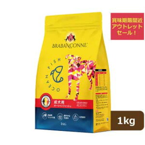 yAEgbgZ[z ܖԋ߁F2025N126 uo\k ^ ^ p OCt[ hbOt[h I[VtBbV 1kg  hC PA AHPA tP