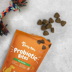 お試しサイズ Zesty Paws プロバイオティック バイツ 胃腸ヘルスケア 10粒 犬用 栄養補助食 ソフトチュウ パンプキンフレーバー おやつ サプリメント 小型犬 中型犬 大型犬 子犬 成犬 高齢犬 消