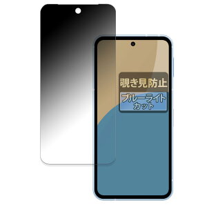 FILMEXT �t�B���� SHARP AQUOS sense9 �p �̂������h�~ �t�B���^�[ �v���C�o�V�[�t�B���^�[ �u���[���C�g�J�b�g ���˒ጸ ���{��