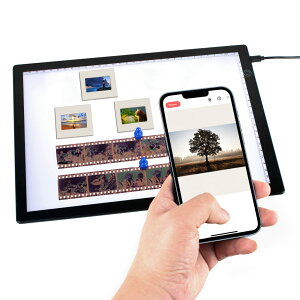 DGODRT XChr[ACg{bNX ÂXChlKtBXL A[eBXgXPb`p A4^Cg{bNXXLi[ 3iK̖邳߉\ USBd