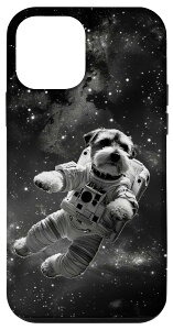 iPhone 12 mini F  ~j`A ViEU[  Fsm X}zP[X