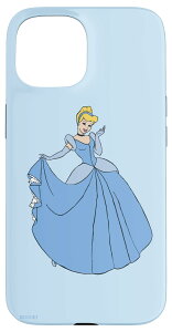 iPhone 15 fBYj[ vZX Vf u[{[KE X}zP[X