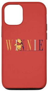 iPhone 13 Pro fBYj[ ܂̃v[ ܂̃VveLXg X}zP[X