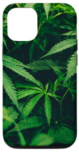 iPhone 13 Pro Weed �X�}�z�P�[�X �}���t�@�i�A�� �|�b�g���[�t 420 �喃�M�t�g �X�}�z�P�[�X