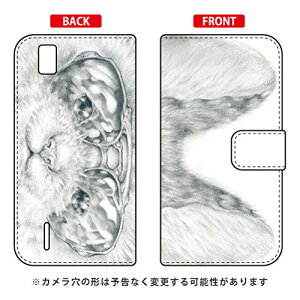 SECOND SKIN 蒠^X}[gtHP[X KYOTARO uTOXLbgv / for STREAM X GL07S/EMOBILE EHWGL7-IJTC-401-LJ16