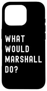 iPhone 16 Pro Marshall �Ȃ�ǂ����邾�낤��? �X�}�z�P�[�X