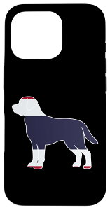 iPhone 16 Pro VGbg ^C uh[go[ X}zP[X