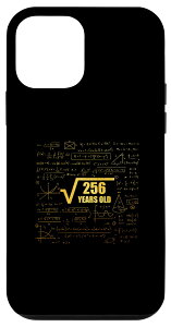 iPhone 12 mini 16th Birthday Square Root of 256 16 Years Old Math Fun X}zP[X