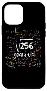 iPhone 12 mini 256̖Ȏlp 13΂̒a 16΂̎Z X}zP[X