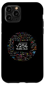 iPhone 11 Pro 256 16΂̒a 16 Mtg w X}zP[X