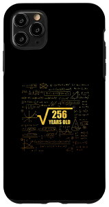 iPhone 11 Pro Max 16th Birthday Square Root of 256 16 Years Old Math Fun X}zP[X