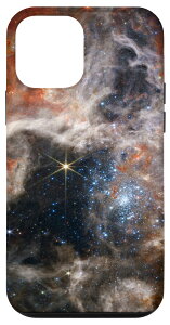 iPhone 12 mini Webb F] j[C[W ^`_  JWST X}zP[X