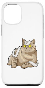 iPhone 12/12 Pro lR gCbgy[p[ X}zP[X