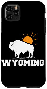 iPhone 11 Pro Max CI~OnCN obt@[lC`[ nCLO R yY X}zP[X