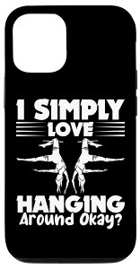 iPhone 14 Pro Circus Aerial Silks Aeralist �A�N���o�b�g �u�����R�A�[�e�B�X�g �X�}�z�P�[�X