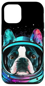 iPhone 13 {XgeA Fsm  Jt F X}zP[X