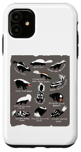 iPhone 11 ̐쓮̓XJNybĝ߂̃XJNRX`[ X}zP[X