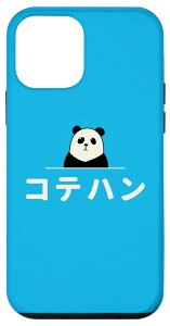 iPhone 12 mini ʔ uRenvMO-W[N  Ă͂  X}zP[X