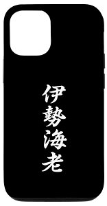 iPhone 13 Pro uɐCVvTVc  ɐCV  X}zP[X