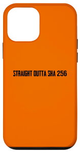 iPhone 12 mini �X�g���[�g�A�E�^ SHA 256 �Í� �X�}�z�P�[�X