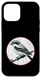 iPhone 12 mini JtȃgȖkỸfUCB X}zP[X