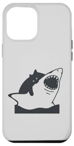 iPhone 14 Pro Max LƃTVłBŏ̕s𗝂ŖʔA[g X}zP[X