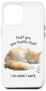 iPhone 14 Pro Max LDAӂӂ̂ȂAӂӂӂAȃN[L X}zP[X