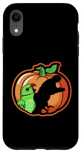 iPhone XR Pumpkin Parrot & T Rex Shadow I �O���[�� �C���f�B�A�� �����O�l�b�N �X�}�z�P�[�X
