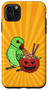 iPhone 11 Pro Max pvL [  IE I O[ CfBA OlbN X}zP[X