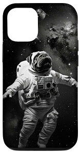 iPhone 12/12 Pro F MNV[ V[yC  Fsm X}zP[X