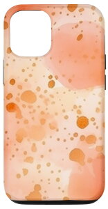 iPhone 13 􉽊w͗l s[`&zCgp^[ Op` GKg X}zP[X