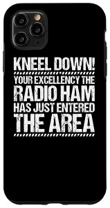 iPhone 11 Pro Max A}`AIy[^[ Your Excellency Ham WI Ham X}zP[X