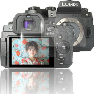 PanasonicJΉ LUMIX S1RII / G99II p KXtB t ی dx9H y 2 zZbg