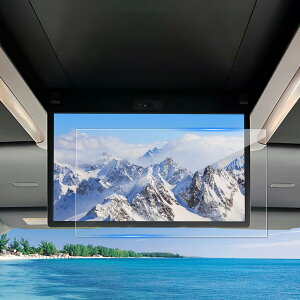 Coleya g^ V^ At@[h40n/mA 90n 2024.2~p 13.2^ L@ELȃfBXvC یtB 13.2C` 2 V13T-R72F ȃj^[یtB AیtB wh~ LY