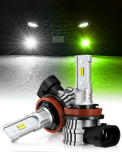 ypxh8 led tHO CG[zBORDAN LED tHOv CG[/zCg 2F؂ւ h8 led tHO CG[  h8/h11/h16 VԌΉ DC12V 1860CSP`bv WImCY