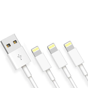 MFiF؍ iPhone [dP[u USB}[d CgjOP[u f[^] Lightning P[u iPhone14/13/12/11/XS Max/XS/XR/X/8/7/6s/6/5s/5/iPad/iPodeΉ 2m 3{