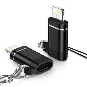 GAEF Type C to CgjO ϊA_v^ Cz }[d f[^] OTG@\/y/ʒ 4in1 @\ USB USB-C iPhone ϊRlN^ h~Xgbvt ^CvCiOSϊR
